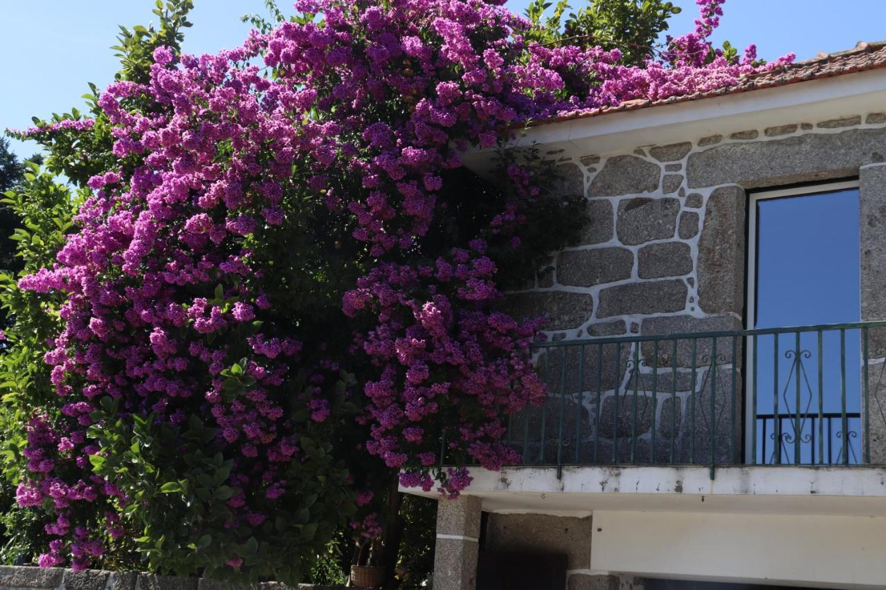 Ich Inveja Country House باسوش دي فيريرا المظهر الخارجي الصورة